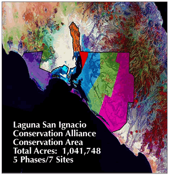LSI Conservation Alliance Map