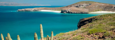 Baja California Biogems