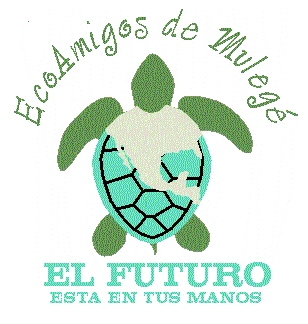 EcoAmigos logo