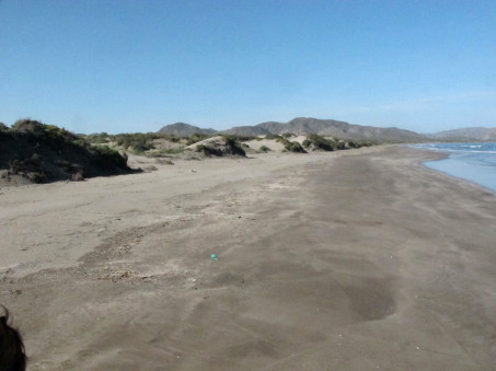 Playa El Gallito