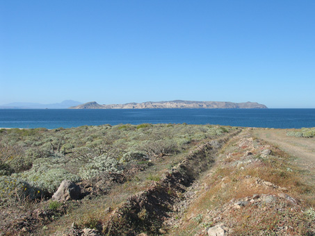 Punta Chivato