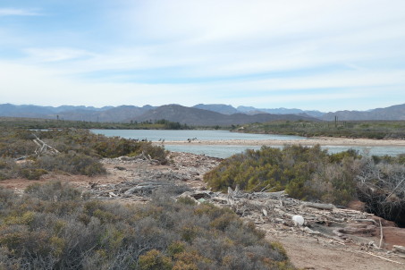 Estero San Marcos