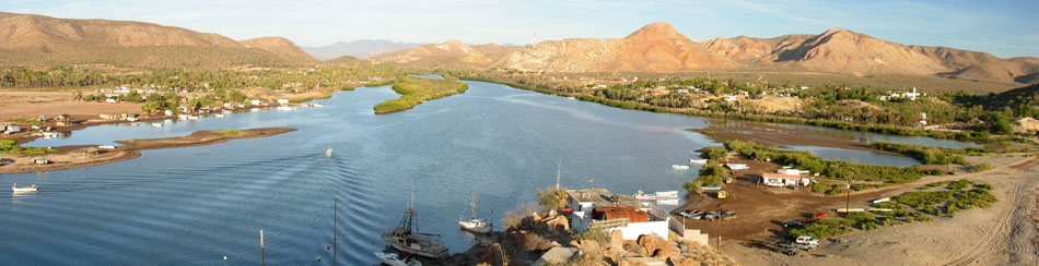 Panorama of mouth of Mulege river and mangrove forest