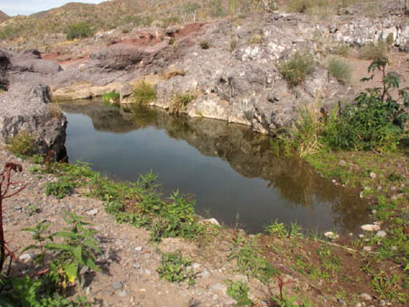 Intermittent pool at edge of river bed