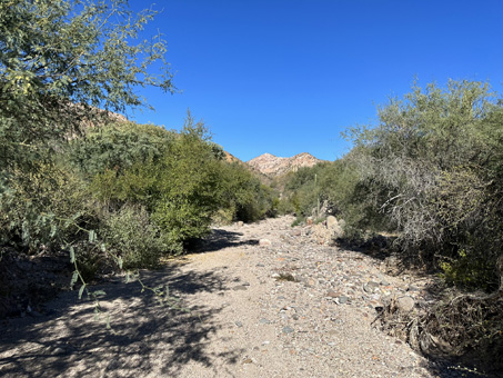 View upstream in the arroyo