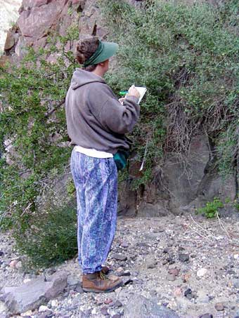Author in the field taking notes