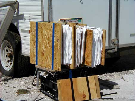 Four plant presses with specimens drying in sun