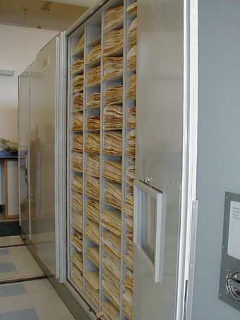 Specimens in compactor cabinets at San Diego Natural History Museum´s herbarium