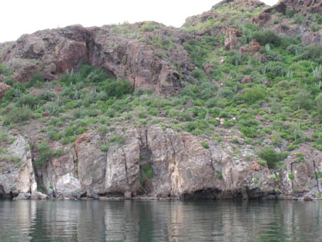 Cliffs of Isla Coyote