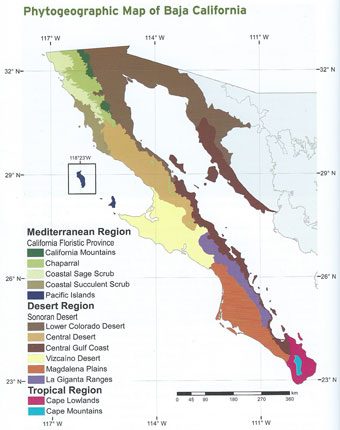 Phytogeographic map of the Baja California Peninsula