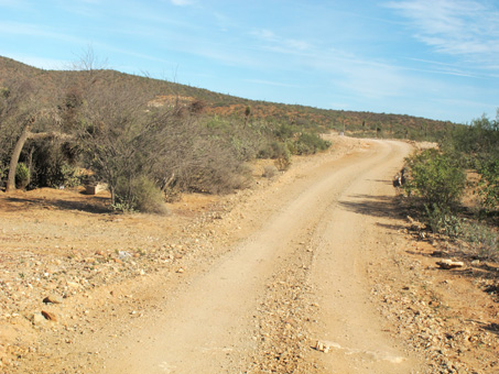 road to Santa Gertrudis