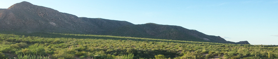 Desert alluvial fan