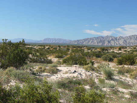 Vista del desierto cerca de San Felipe