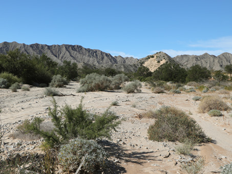 Gravelly arroyo and mountains