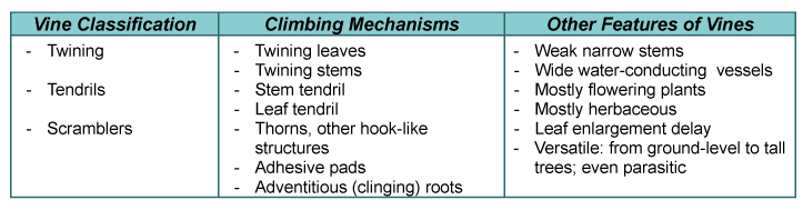 Table 1. Vines: Classification, Climbing Mechanisms and Other Features