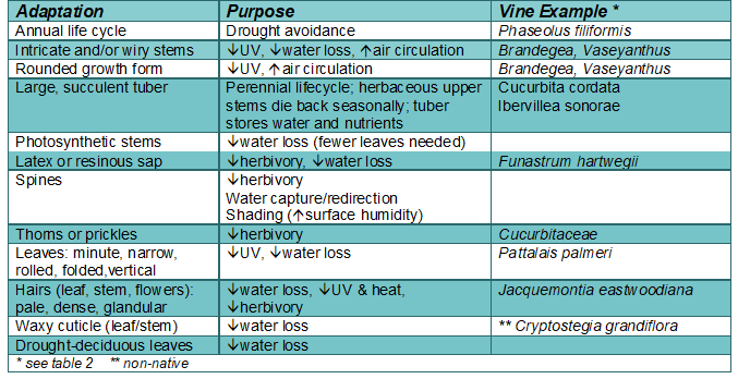 Table 3 Common Plant Adaptations and Sample Vine Taxa