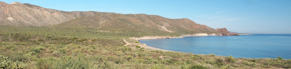 Punta Colorado