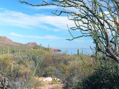 vista de Punta Colorado