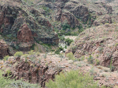 Looking down into the San Javier Canyon