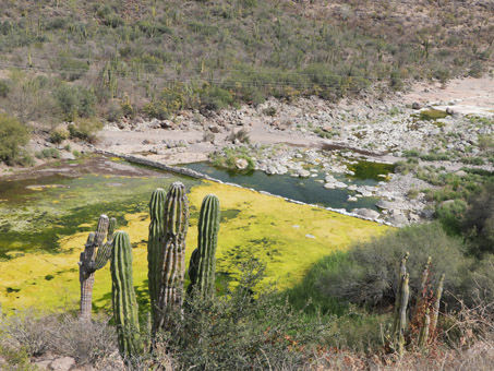 View of small dam in the arroyo