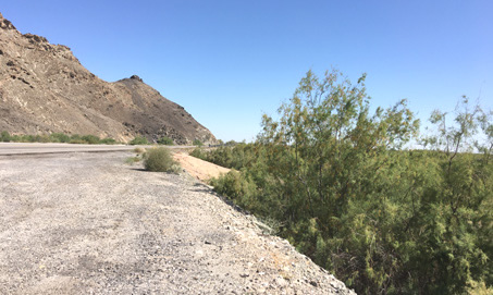 canal alongside highway in the Colorado River Delta