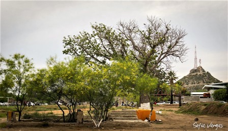 El Saucedo park