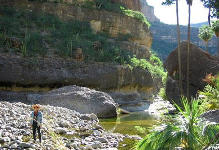 Cañon Santa Teresa