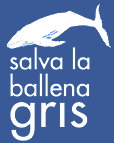 Salva la ballena gris sign