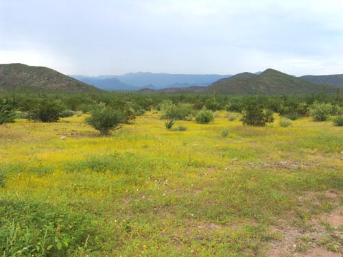 Just north of Mulege