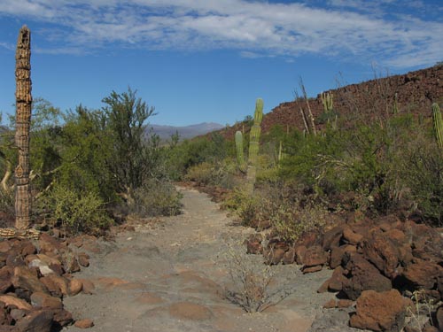 Copyright © 2012 Debra Valov Looking back from Los Corralitos trail head