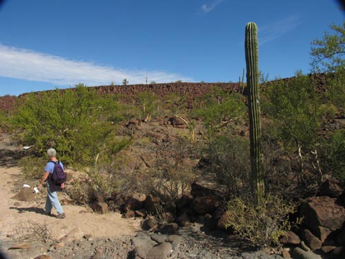 Copyright © 2012 Debra Valov Looking back from Los Corralitos trailhead