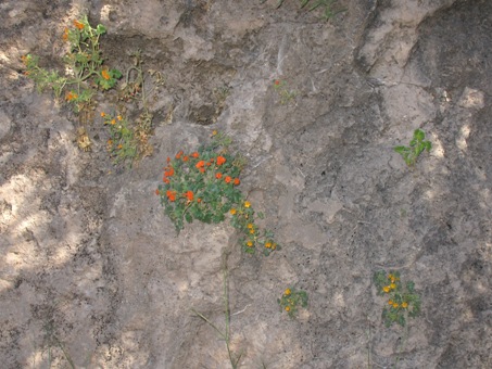 cliff face