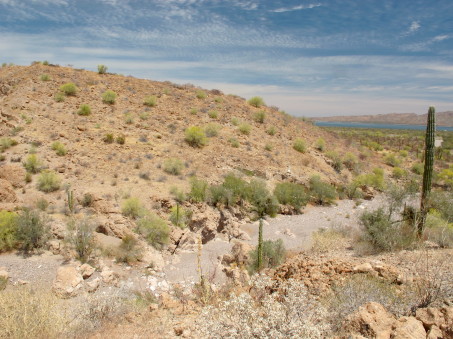 Arroyo Mezquital