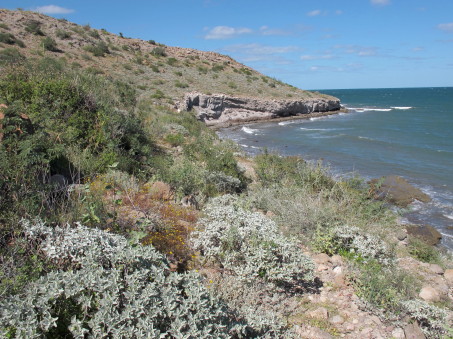 Coastal bluffs