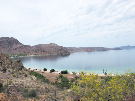 overlooking Bahia El Coyote