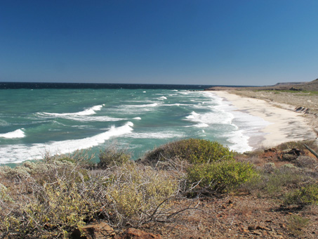 Punta Chivato