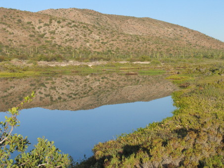 laguna costera