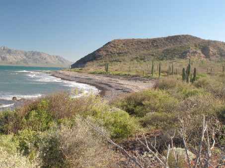 Playa Los Lobos