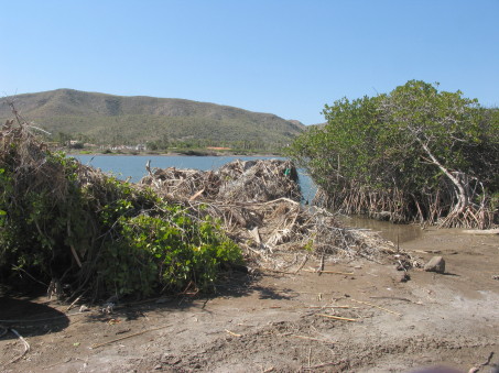 Punta Cerrotito