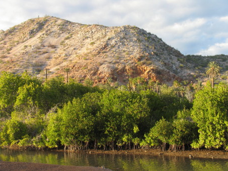 Estero San Marcos