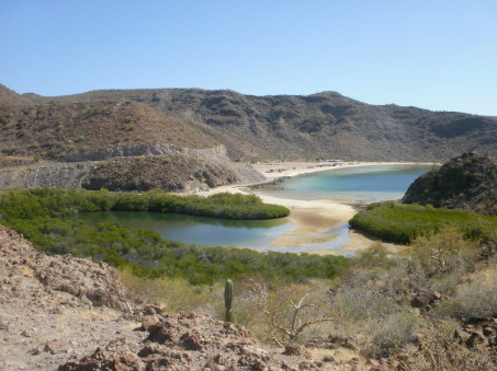 Santispac mangroves