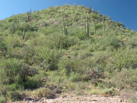 ladera rocosa