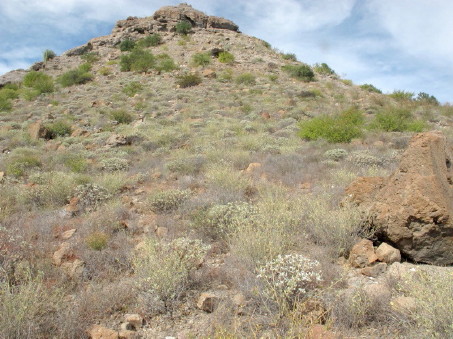 Rocky hillside