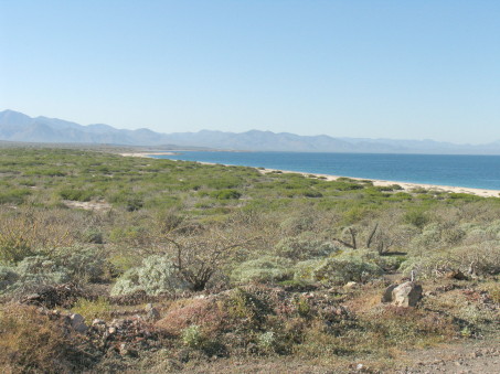 Coast north of Punta Chivato