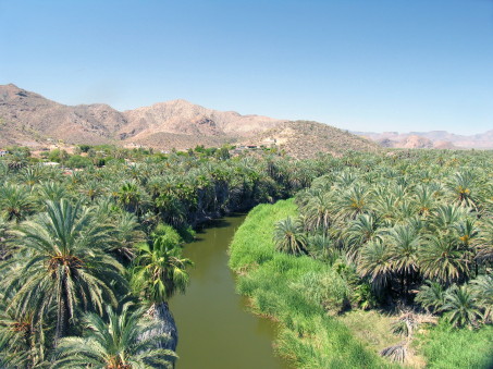 Mulege oasis