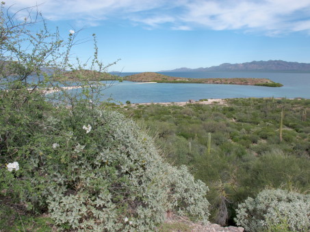 Playa El Requesón