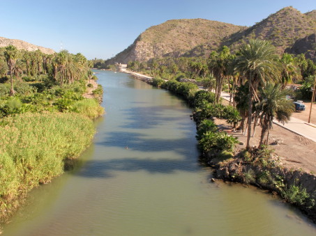 Mulege river