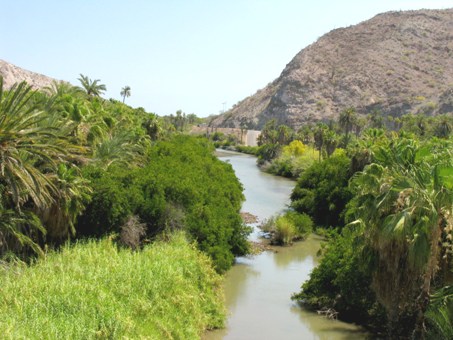 Mulege River