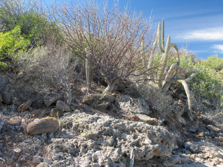 Rocky hillside