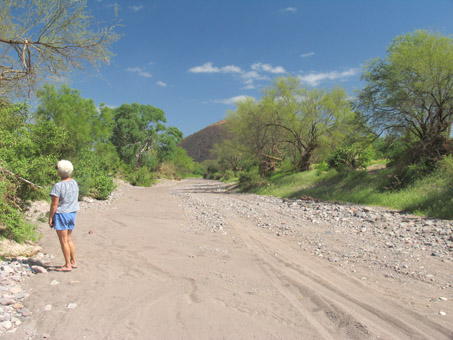 arroyo bed